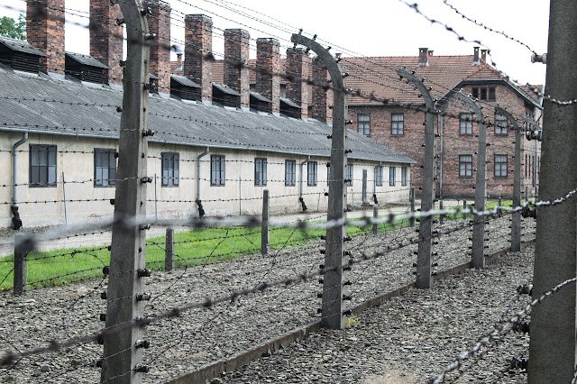 Rows of electrified barbed wire and wooden barracks at Auschwitz-Birkenau in Poland – historical tour experience.