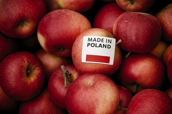 Η Πολωνία ανεβαίνει στην κορυφή: το πολωνικό μήλο κυριαρχεί στην Ευρώπη