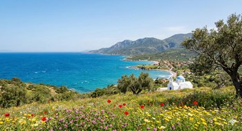 Spring landscape in Greece in April: blooming red poppies on a hill, view of the turquoise Aegean Sea, white church with a blue dome, and clear blue sky.