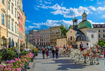Vibrant street scene in Krakow's Old Town, featuring horse-drawn carriages and historic buildings under a blue sky, highlighting the city's charm and medieval atmosphere.