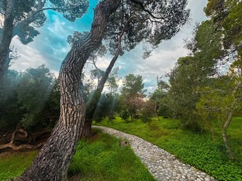 Jednodniowa wycieczka z Aten do Xylokastro: las Pefkias, plaża, zabytki i atrakcje