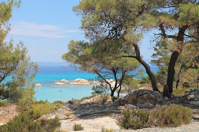 Malownicza plaża na Sithonii, jednej z 'nóg' Chalkidiki, z krystalicznie czystą wodą i sosnami, idealna na relaks i wycieczki.